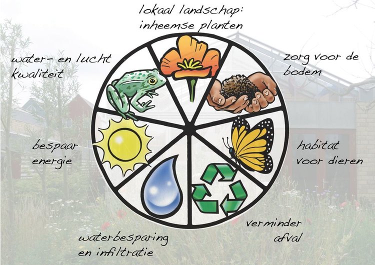 Principes voor een duurzame tuin, 7 stappen om je tuin te verduurzamen.
