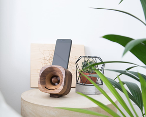 Trobla speaker van Wooden amsterdam