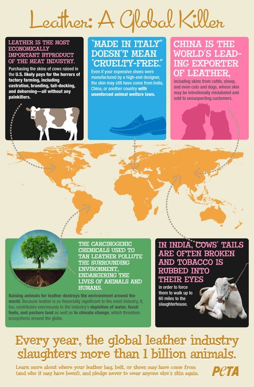 Leather, a global killer. Uitleg waarom leer slecht is voor milieu en dier. 