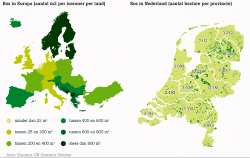 Bossen in Europa en in Nederland 