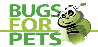 bugs for pets eco friendly pet food insect